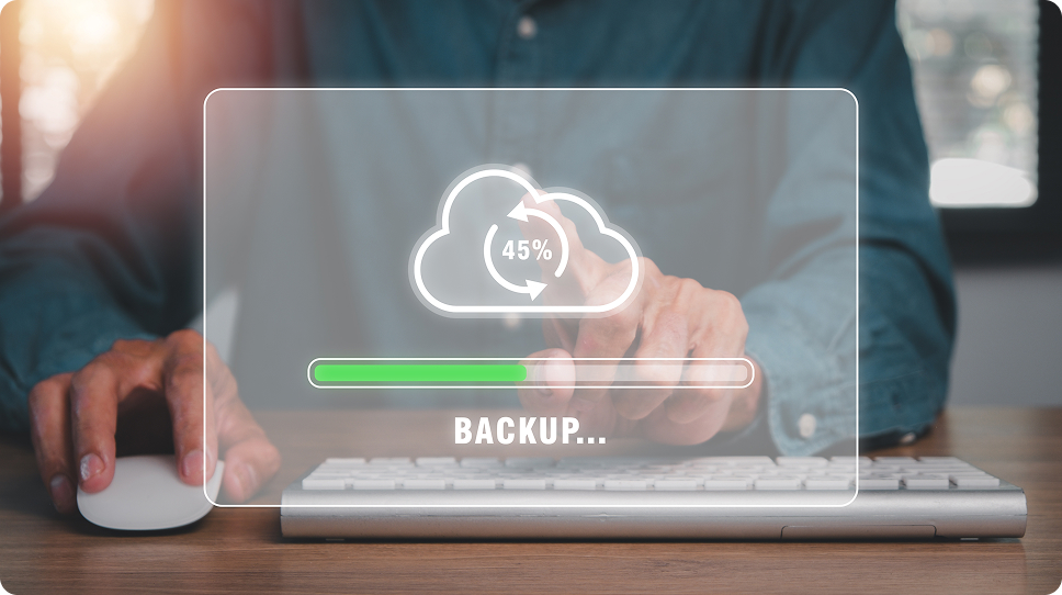 Automated Daily Backups