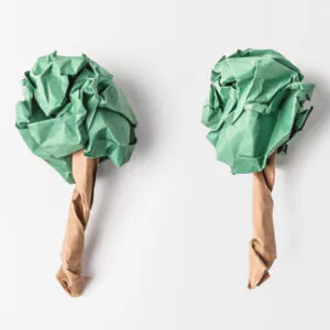 reduce office carbon footprint