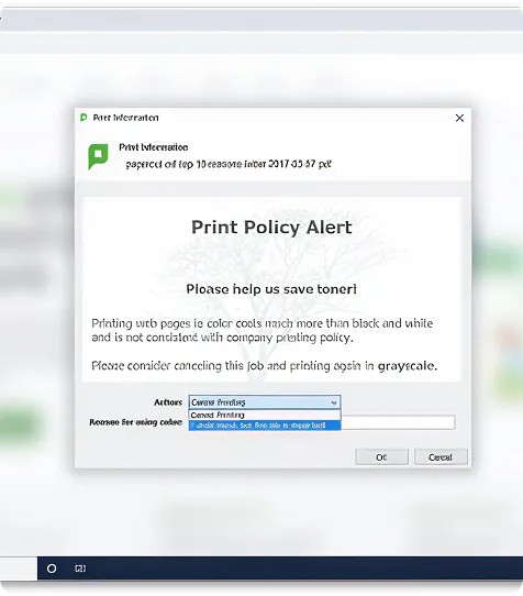 Set Print Policies