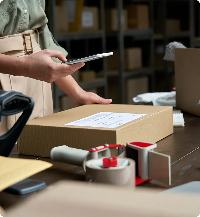 Delivery, Imaging & Deployment