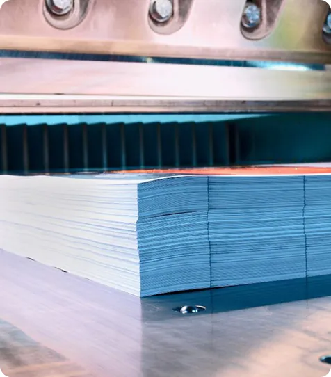 Die Cutting & Perforation