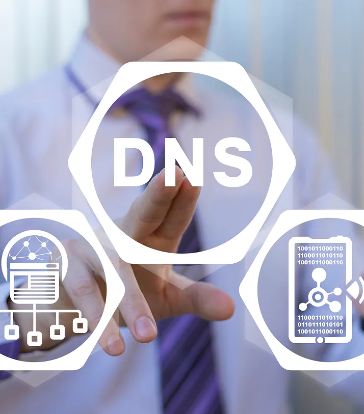 DNS Changes, Licensing, and Go-Live Support